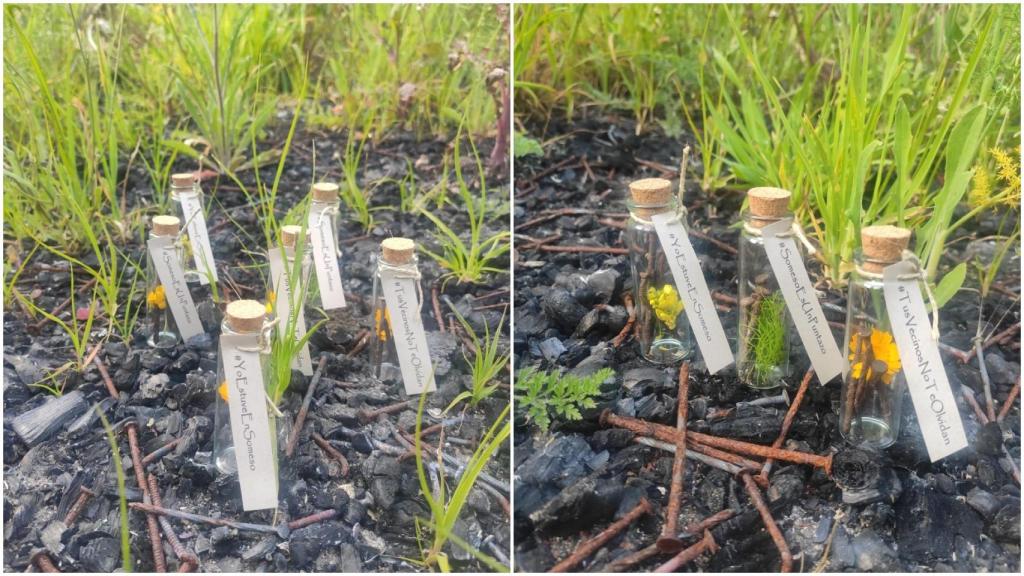 Puntas encontradas en el carril bici del Sector 7.