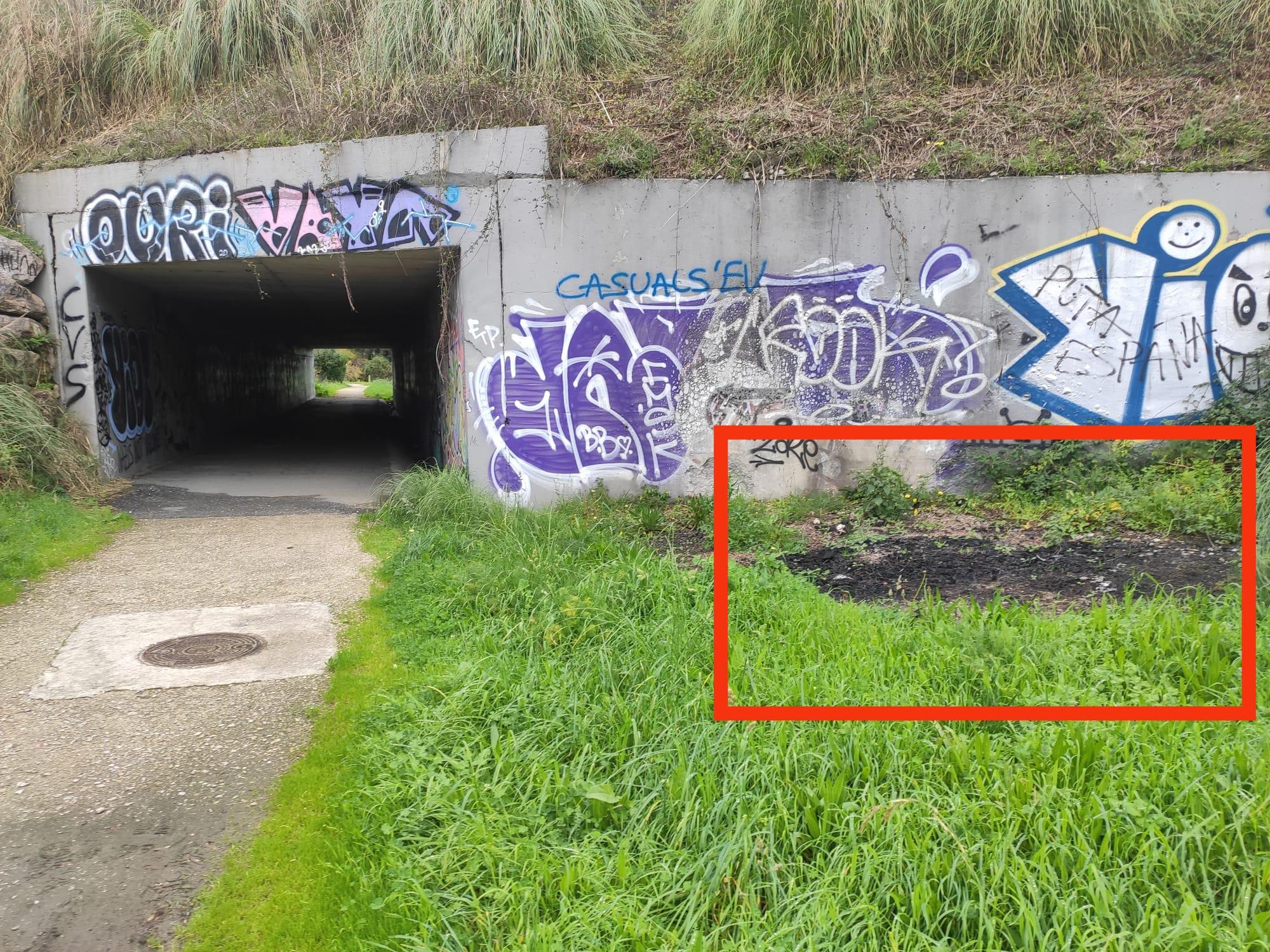 Estado del carril bici del Sector 7 y lugares donde los vecinos aseguran haber encontrado puntas (Cedidas).
