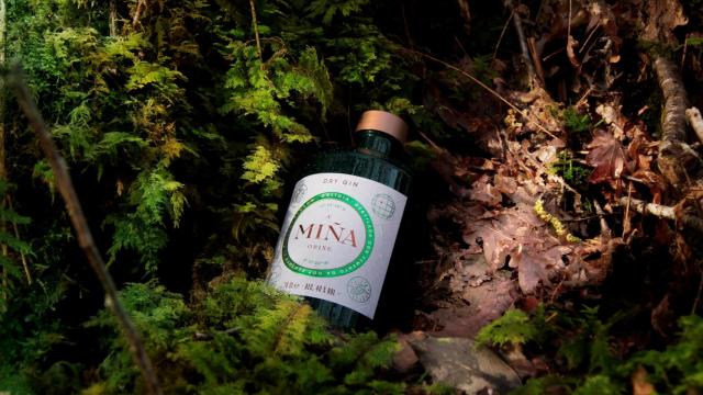 Ginebra de pimientos de Padrón, la sorprendente bebida gallega de la que habla todo el mundo