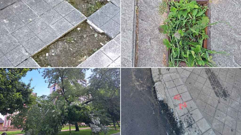 Algunos desperfectos en diferentes barrios de Vigo.