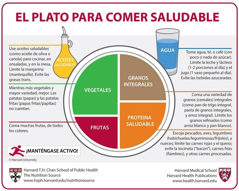 Plato de Harvard