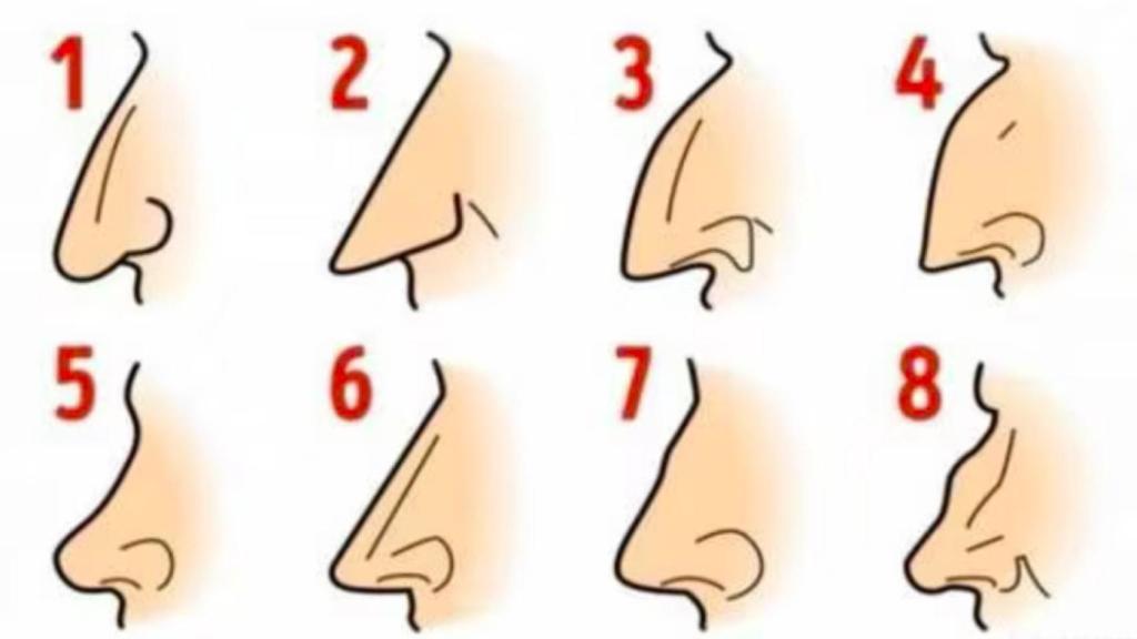 Dime cómo es tu nariz y te diré cómo eres.