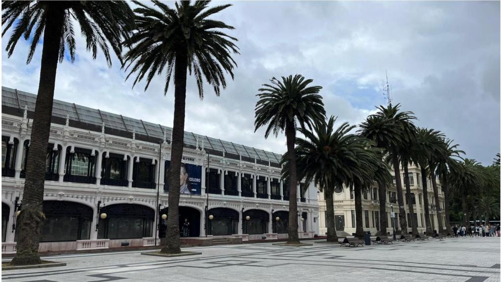 Palmeral de los jardines de Méndez Núñez en A Coruña