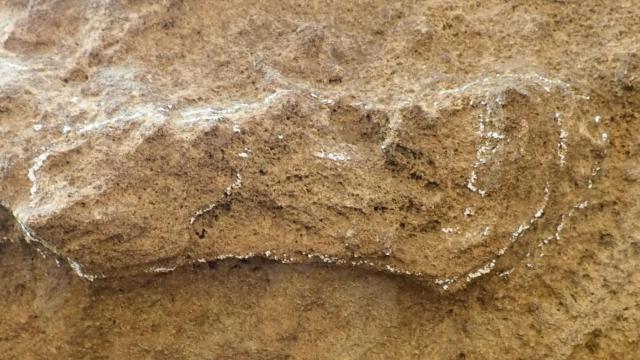 La huella más antigua del 'Homo sapiens'. Foto: Charles Helm