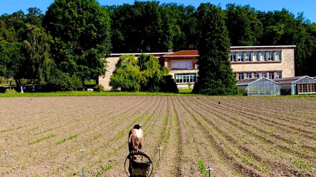 Finca de la Misión Biológica de Galicia.