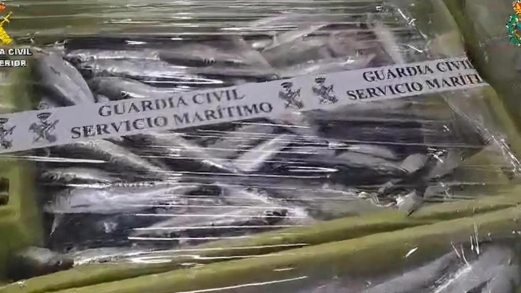 Sardina incautada en Muros (A Coruña).