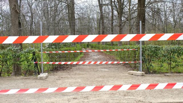 Una zona cerrada aún al público en el parque de El Retiro, en Madrid, en una imagen de archivo.