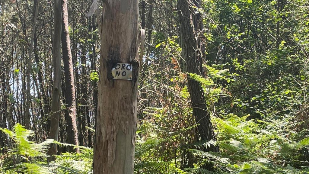 En el sendero donde se encuentran las minas de Salave hay placas de Oro No.