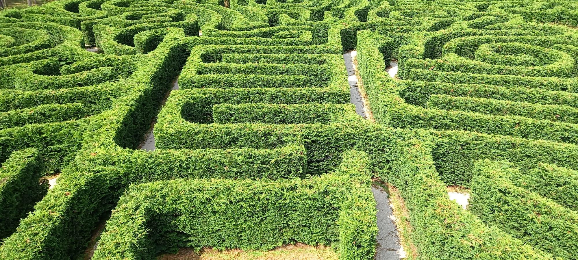 Labirinto de Breoghán