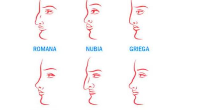 ¿Qué tipo de nariz tienes?