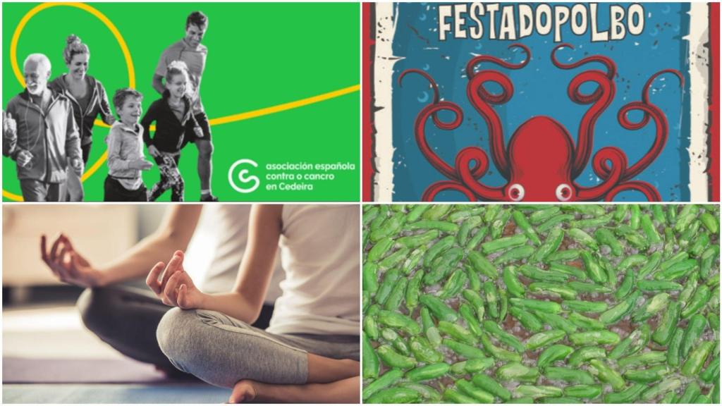 Cinco planes para este fin de semana en Ferrolterra