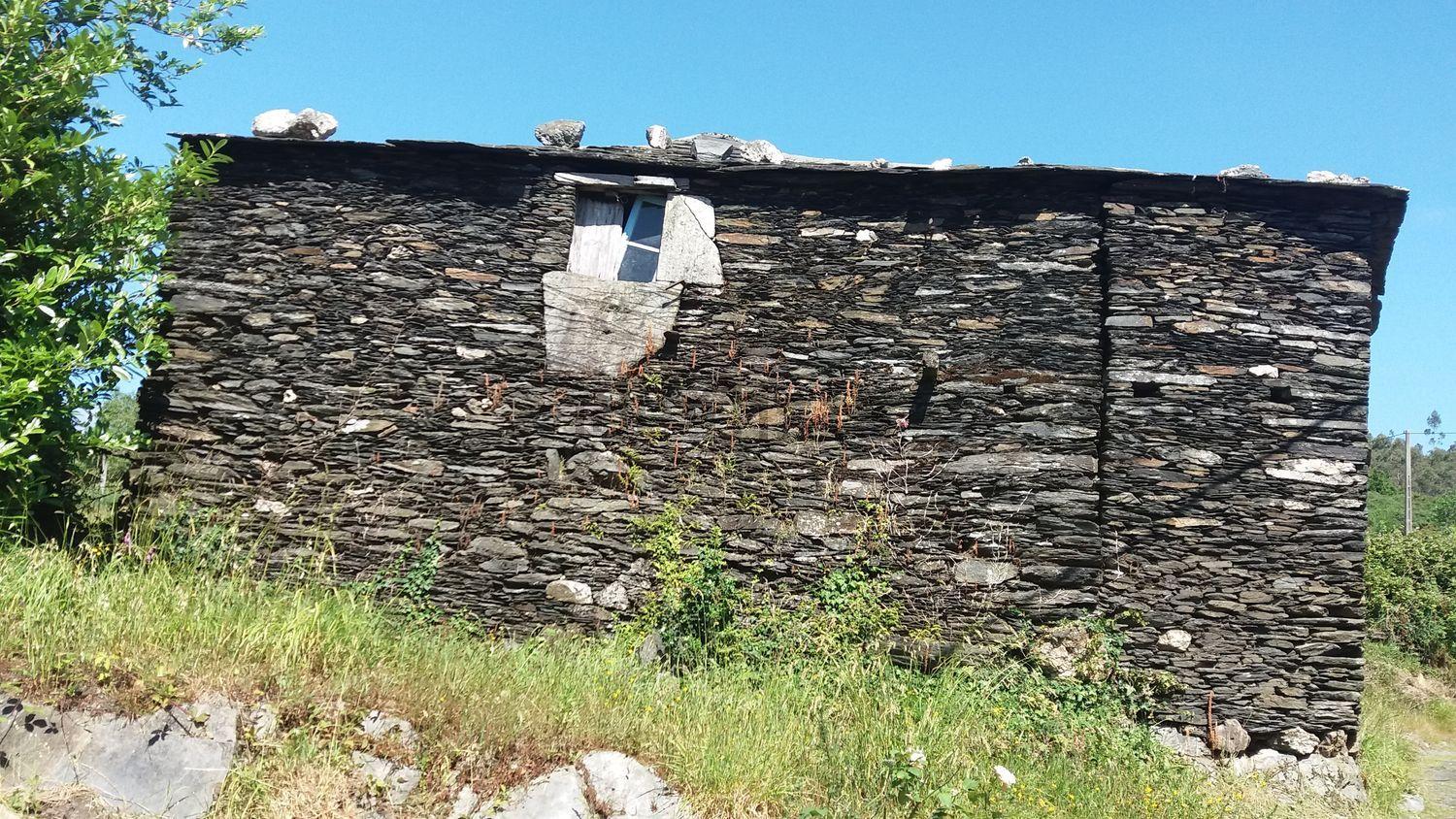 Parte trasera de la casa