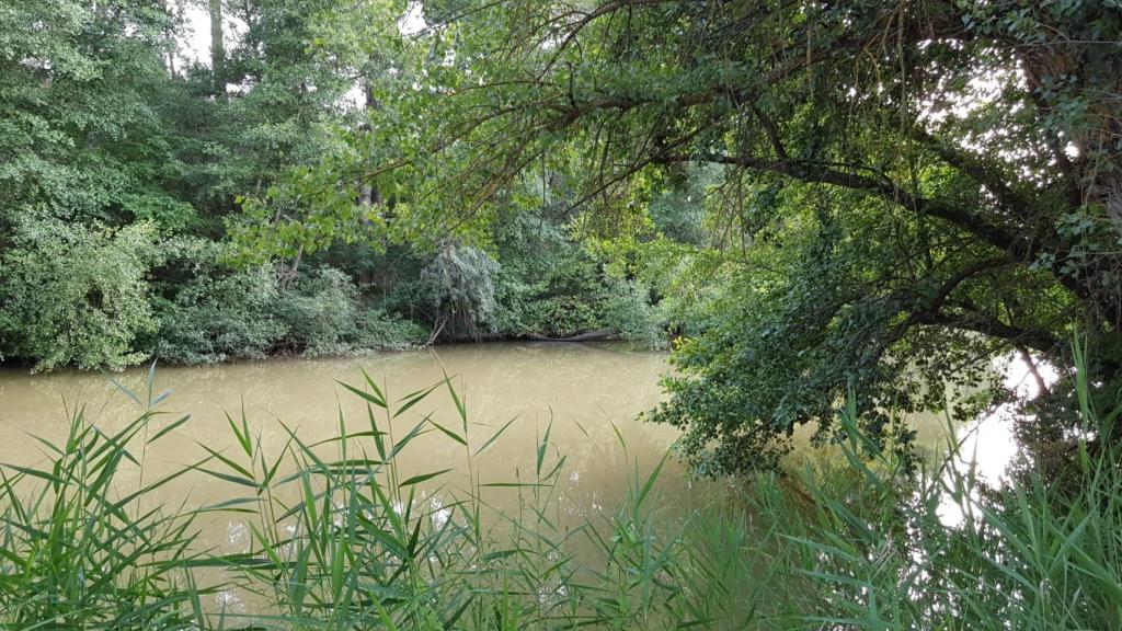 El Duero a su paso por Valbuena en La Isla. Ana S. Martín / Ayuntamiento de Valbuena de Duero