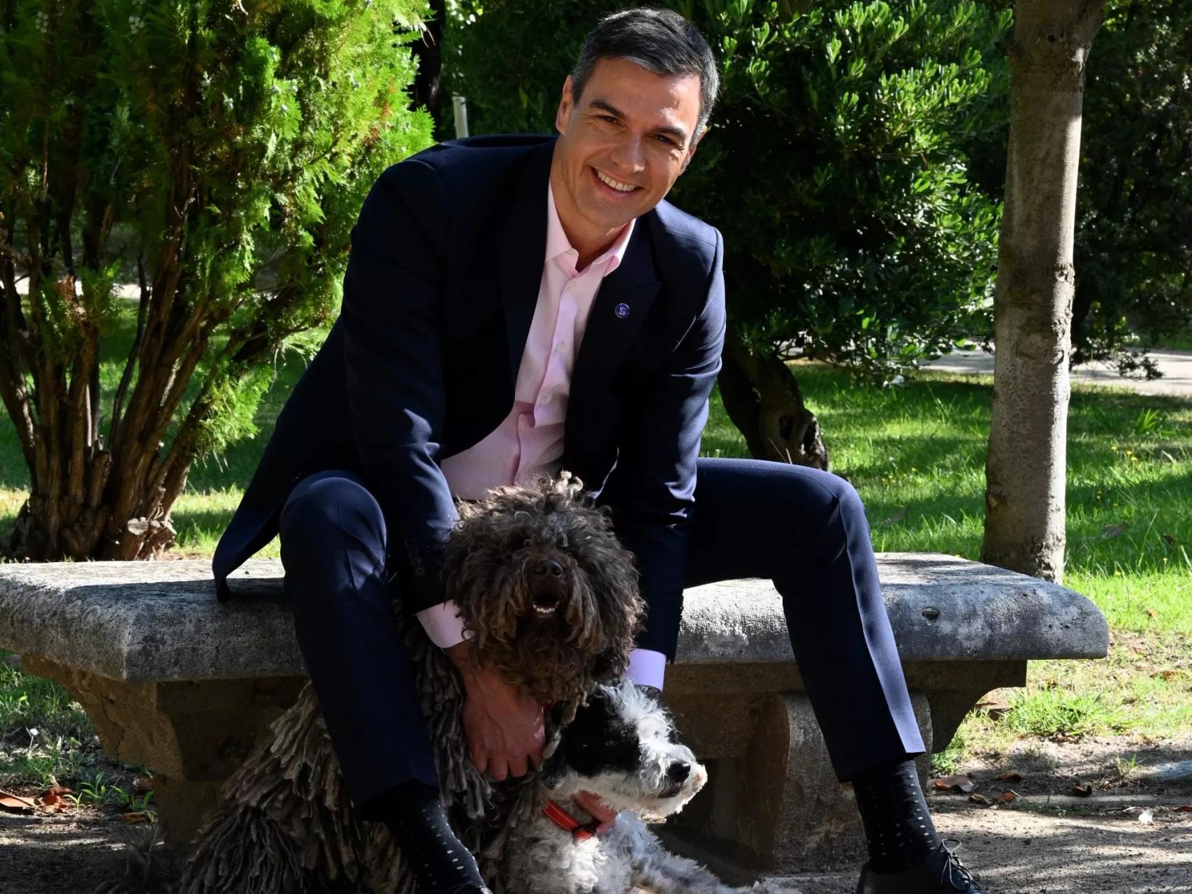 Pedro Sánchez, con su amigo canino.