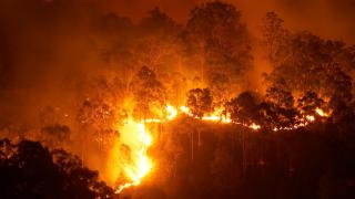 Así afectan los incendios forestales a nuestra salud y al medio ambiente