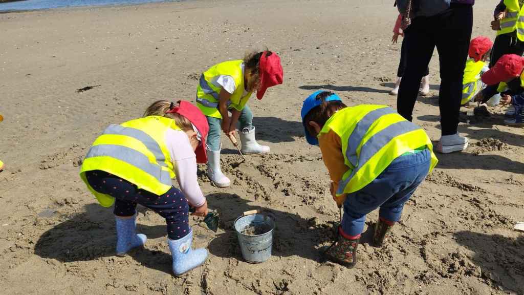 Niños realizando actividades lúdicas y educativas en la playa.