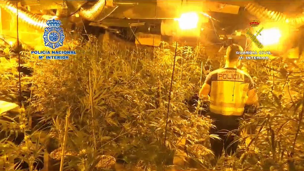 Operación Campana en Cambre