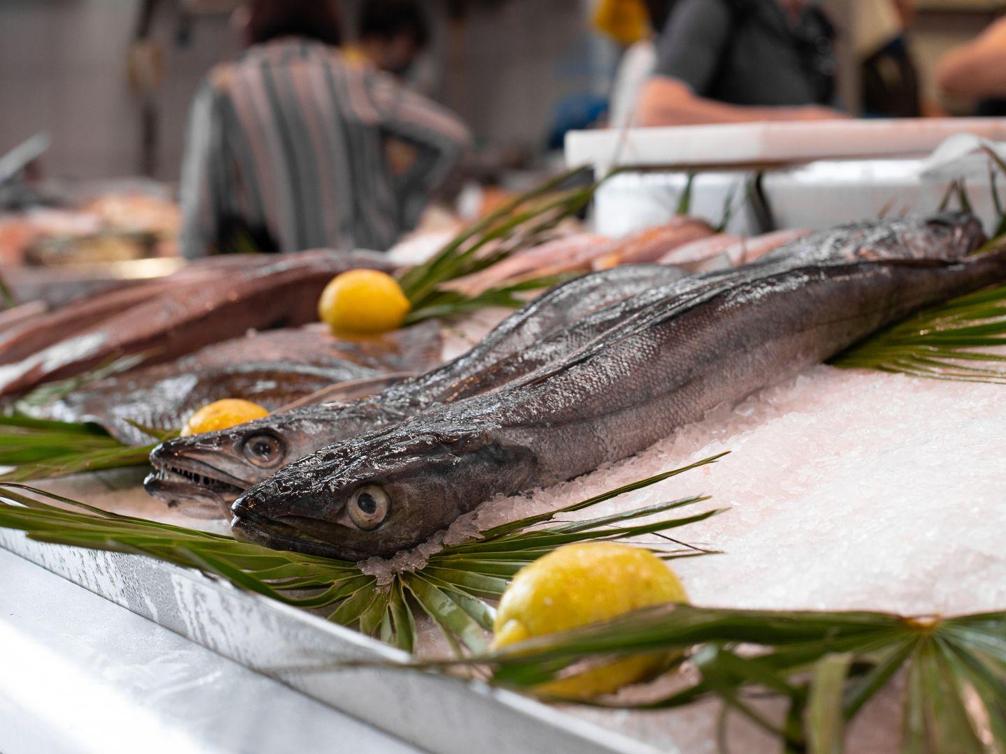 La merluza es uno de los pescados que proliferan en los meses de primavera. Fuente: Quincemil.  