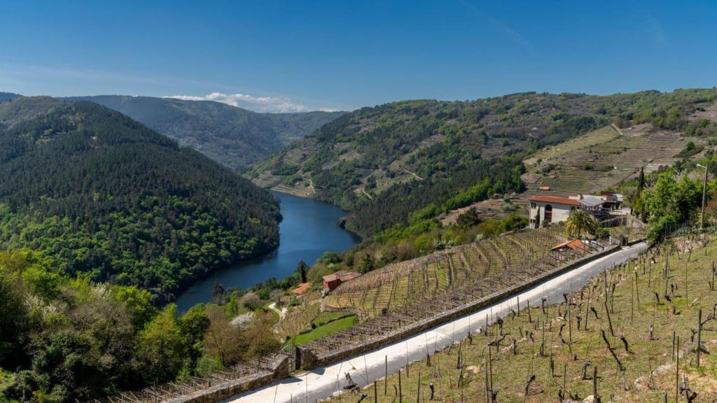 Vistas al río Miño desde San Mamede, en Lugo