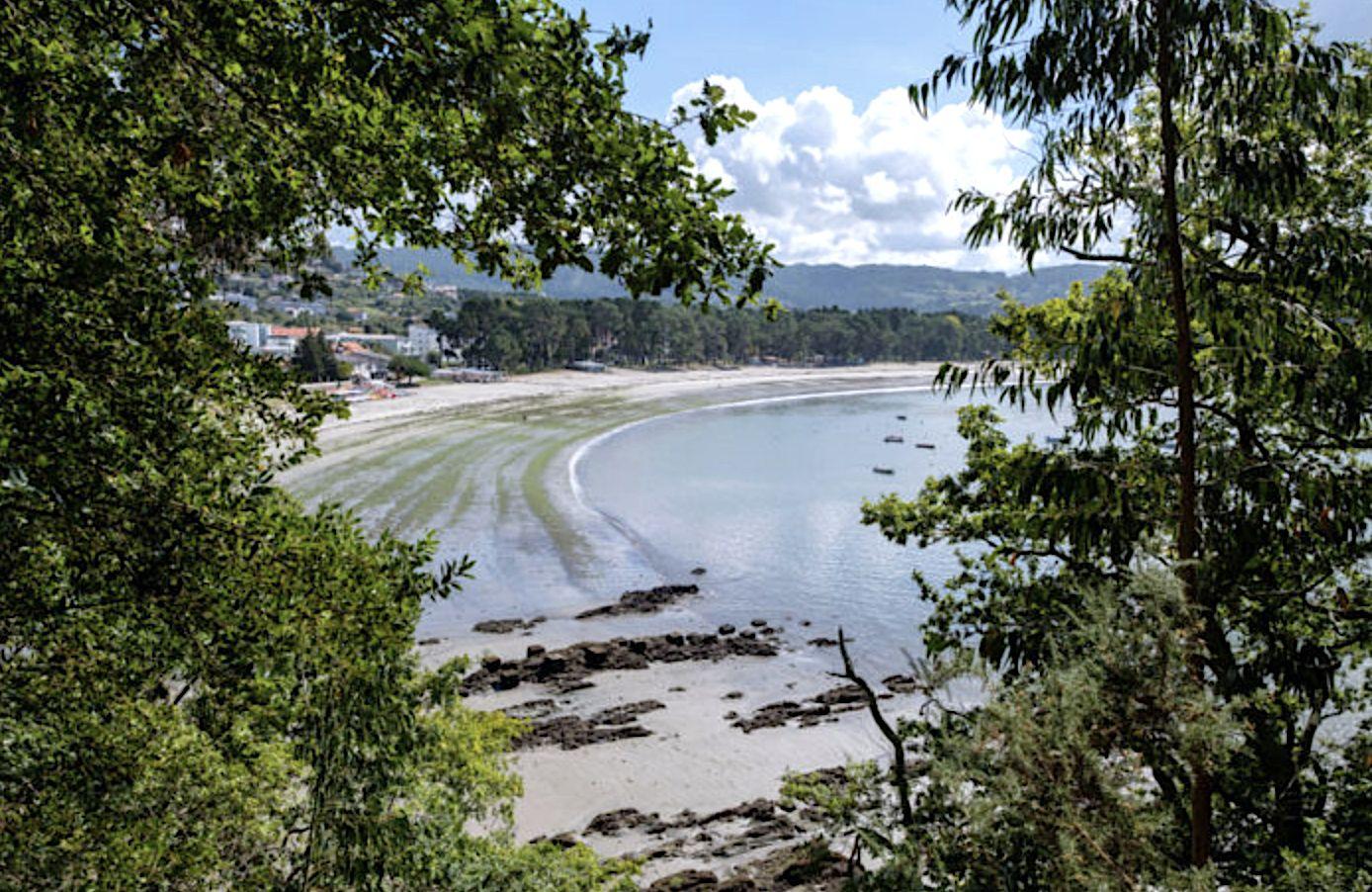 La playa y pinar de A Magdalena. Foto: cabanas.gal