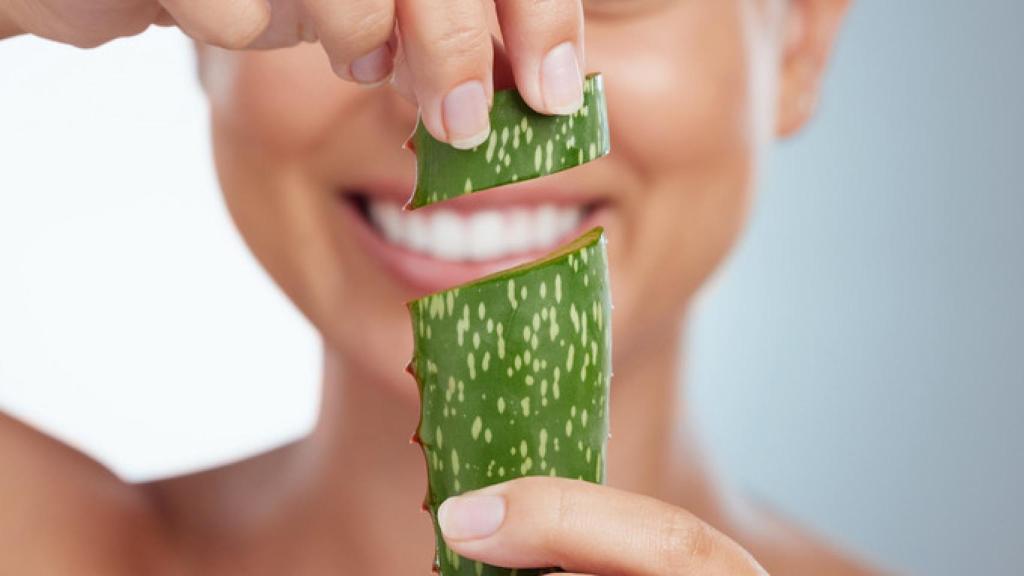 Sabes cules son los beneficios del aloe vera para la piel?