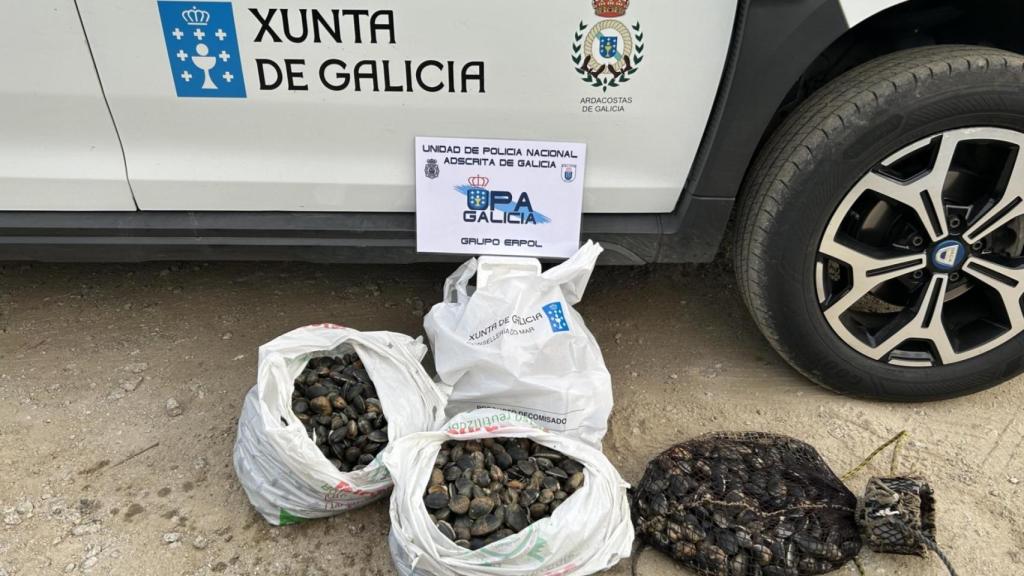 Almejas decomisadas por la Policía Autonómica y Guardacostas