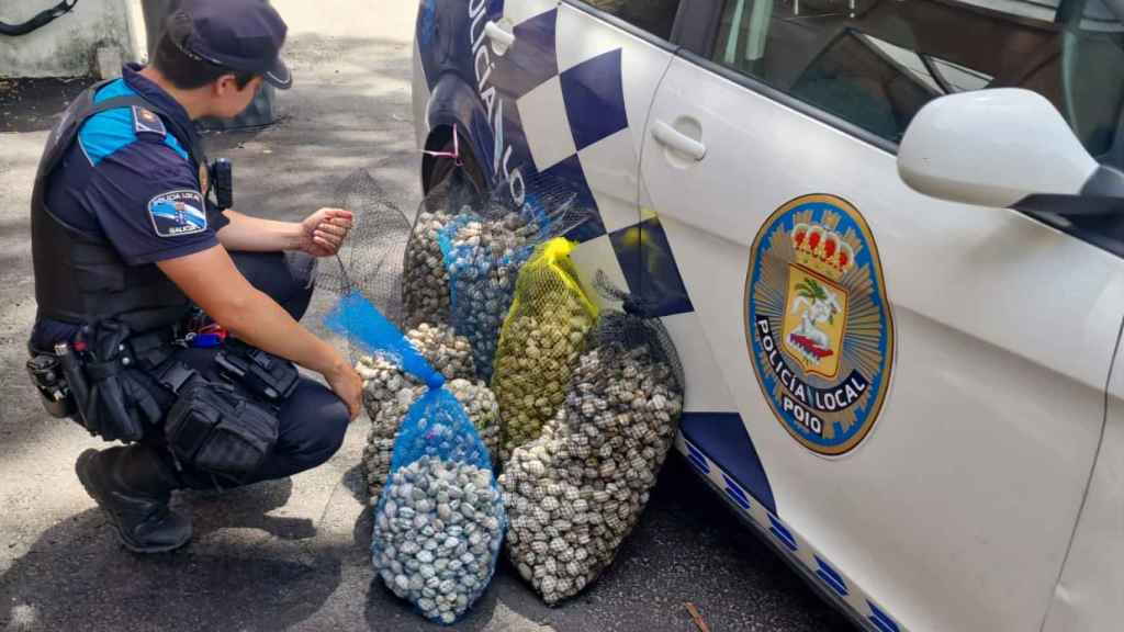 Parte de lo requisado.