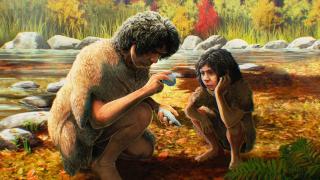 Illustration of a 'Homo heidelbergensis' making an axe. Gabriel Ugueto (University of Cambridge)