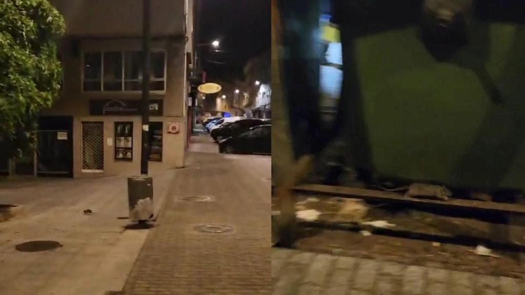 Ratas en la zona de O Temple