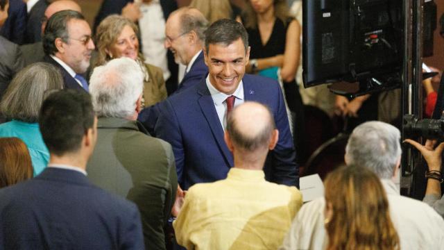 El presidente del Gobierno en funciones, Pedro Sánchez.
