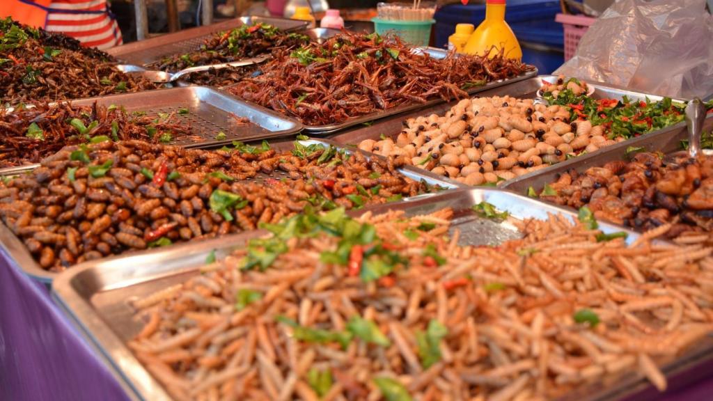 Insectos comestibles.