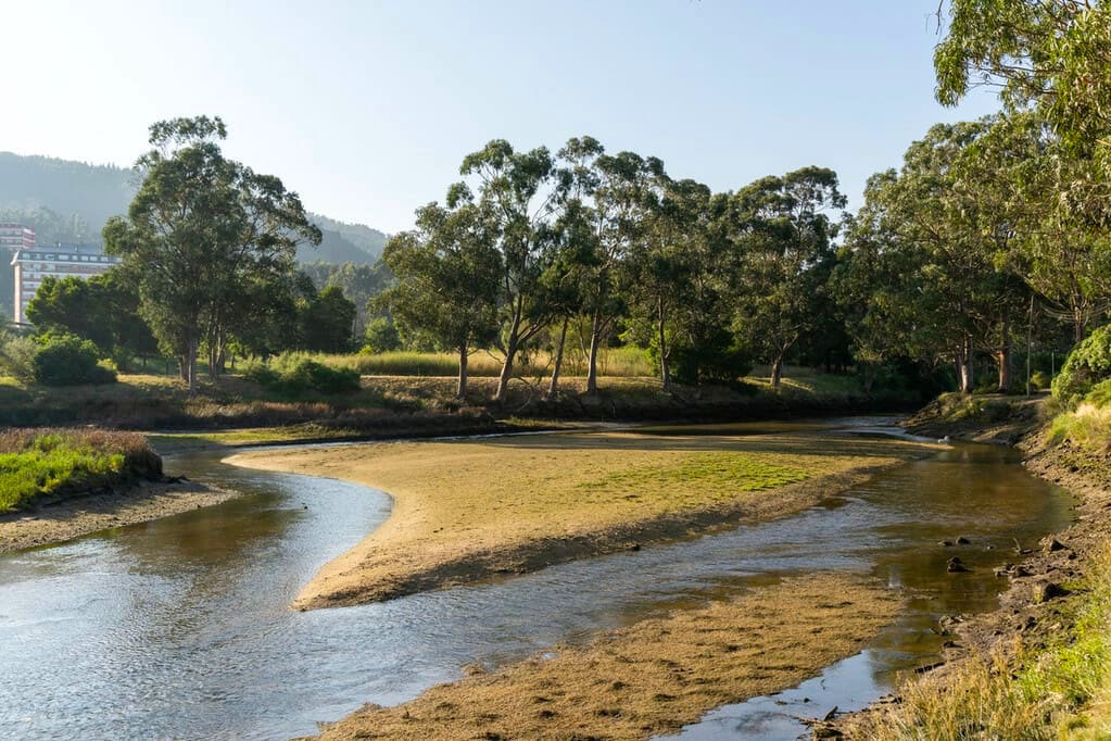 Marismas de Alba en Pontevedra. Foto: Turismo Rías Baixas