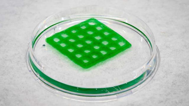 El 'material vivo' impreso en 3D que podría limpiar el agua contaminada.
