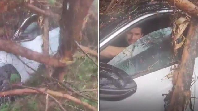 Capturas del vídeo que se ha hecho viral.