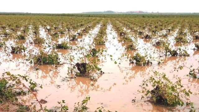La DANA haciendo estragos en Castilla-La Mancha