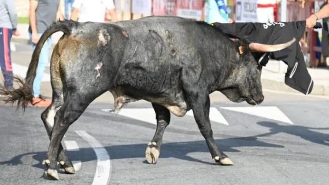 Imagen de archivo de un encierro