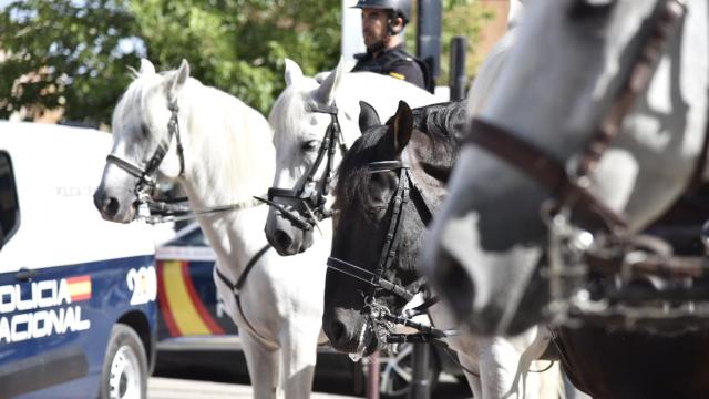 Policías a caballo en la Feria de Albacete.