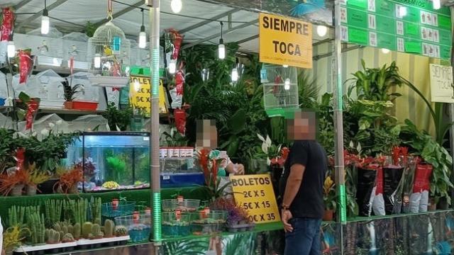 Polémica tómbola de la Feria de Albacete. Foto: Fundación Alma Animal.