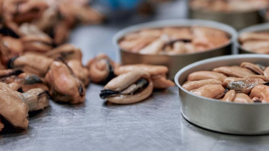 Una ventana abierta a los mercados internacionales: el impulso de las exportaciones gallegas