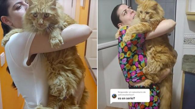 Capturas de dos vídeos demostrando que Cronos es real.