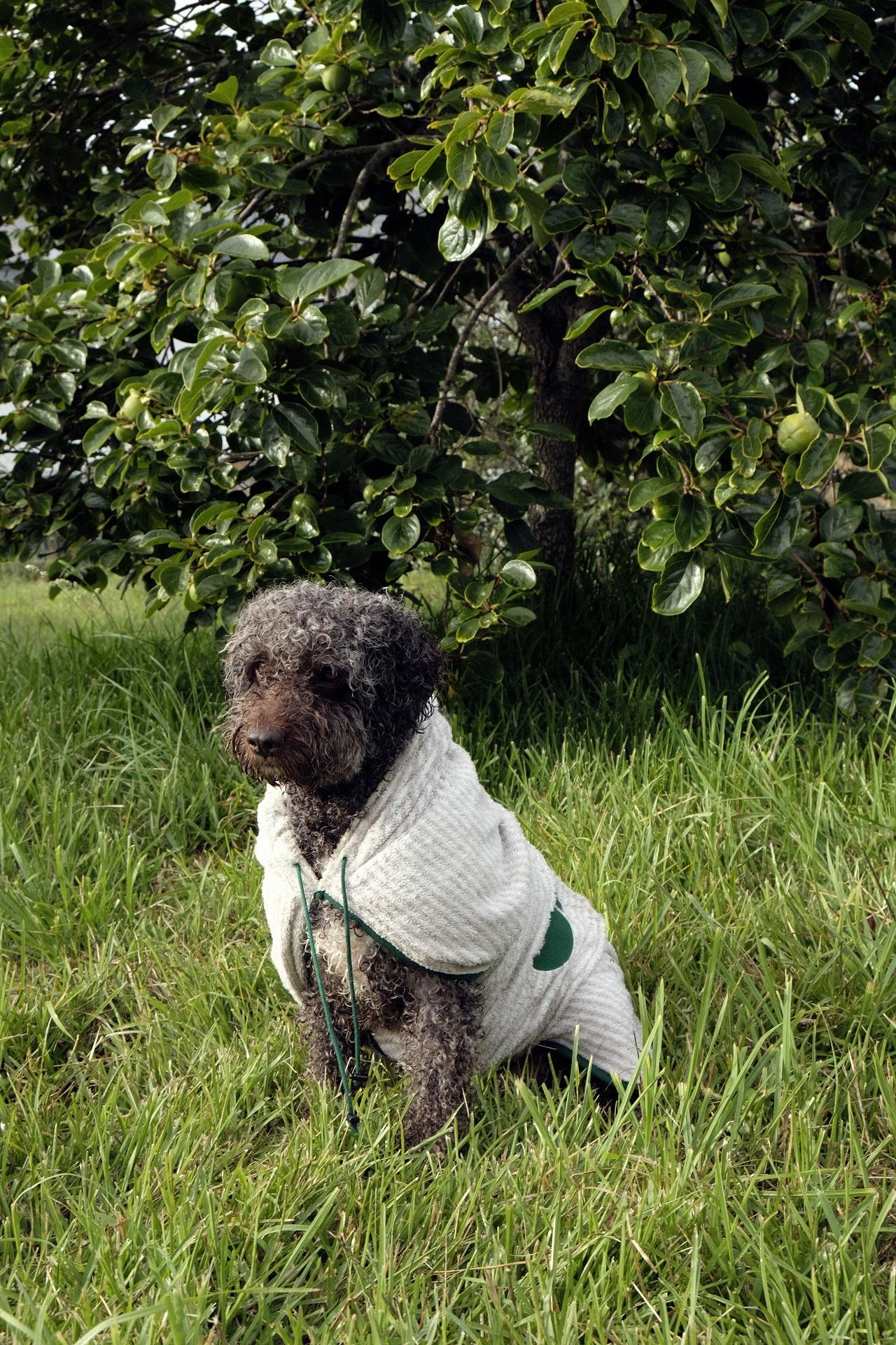 Un modelo posa con una de las prendas de The Painter’s Wife (Cedida).