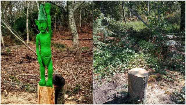 Imagen del trasno y del tronco ya sin la figura.