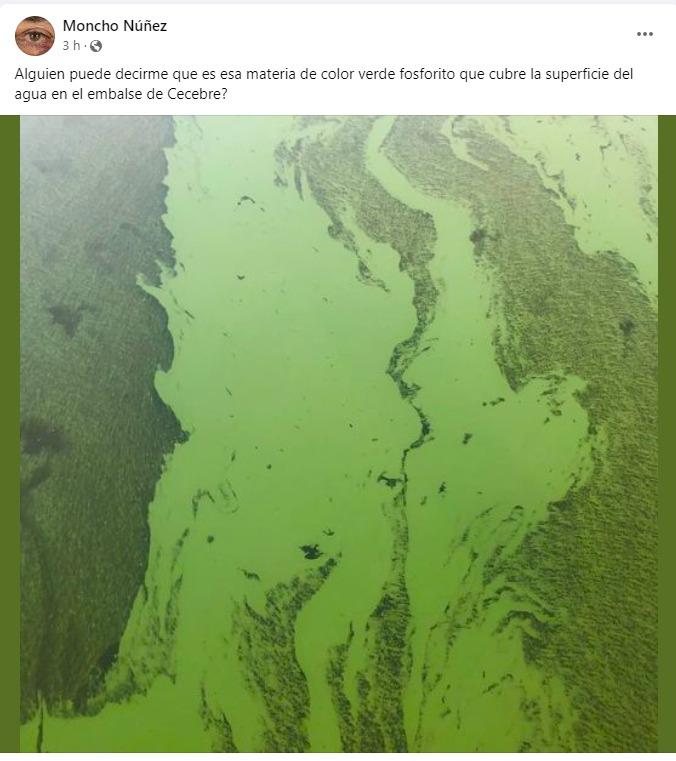 Captura de pantalla de una imagen compartida en redes sociales.