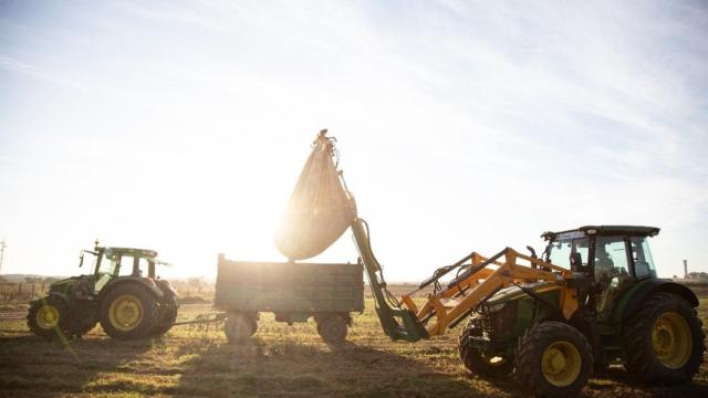 Agricultura regenerativa