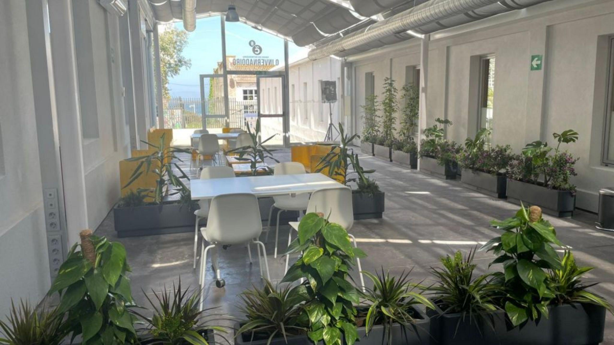 Interior de las naves del Metrosidero.