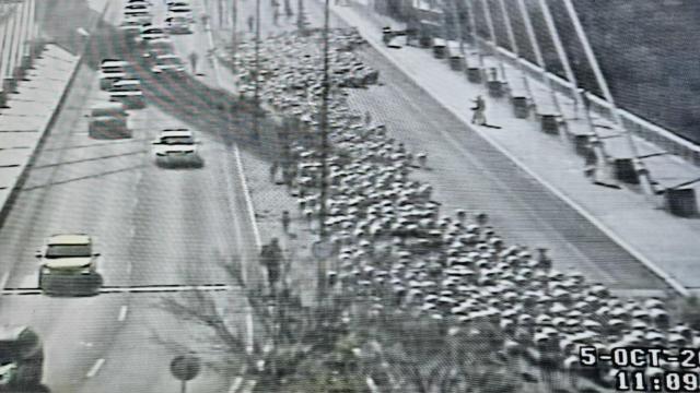 Trashumancia de otoño en Valladolid