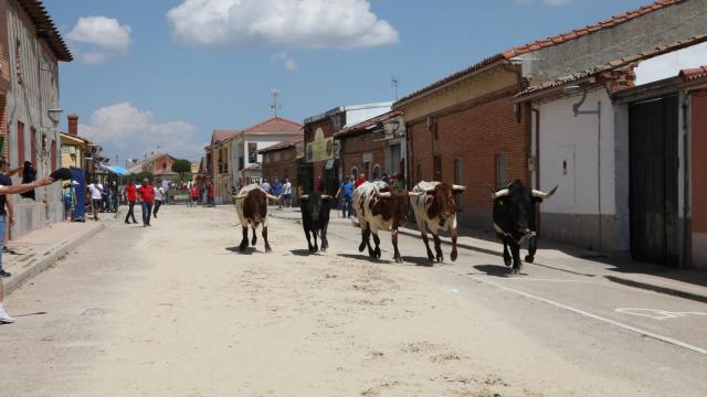 Imagen de archivo de un encierro urbano en Valdestillas