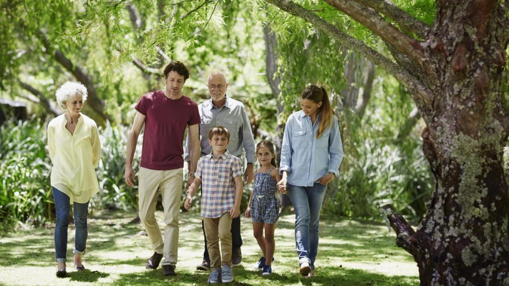 Imagen de una familia caminando