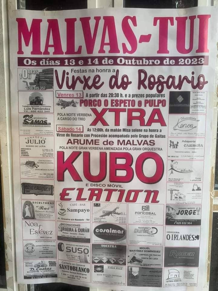 Cartel completo de las fiestas de Malvas de Tui.
