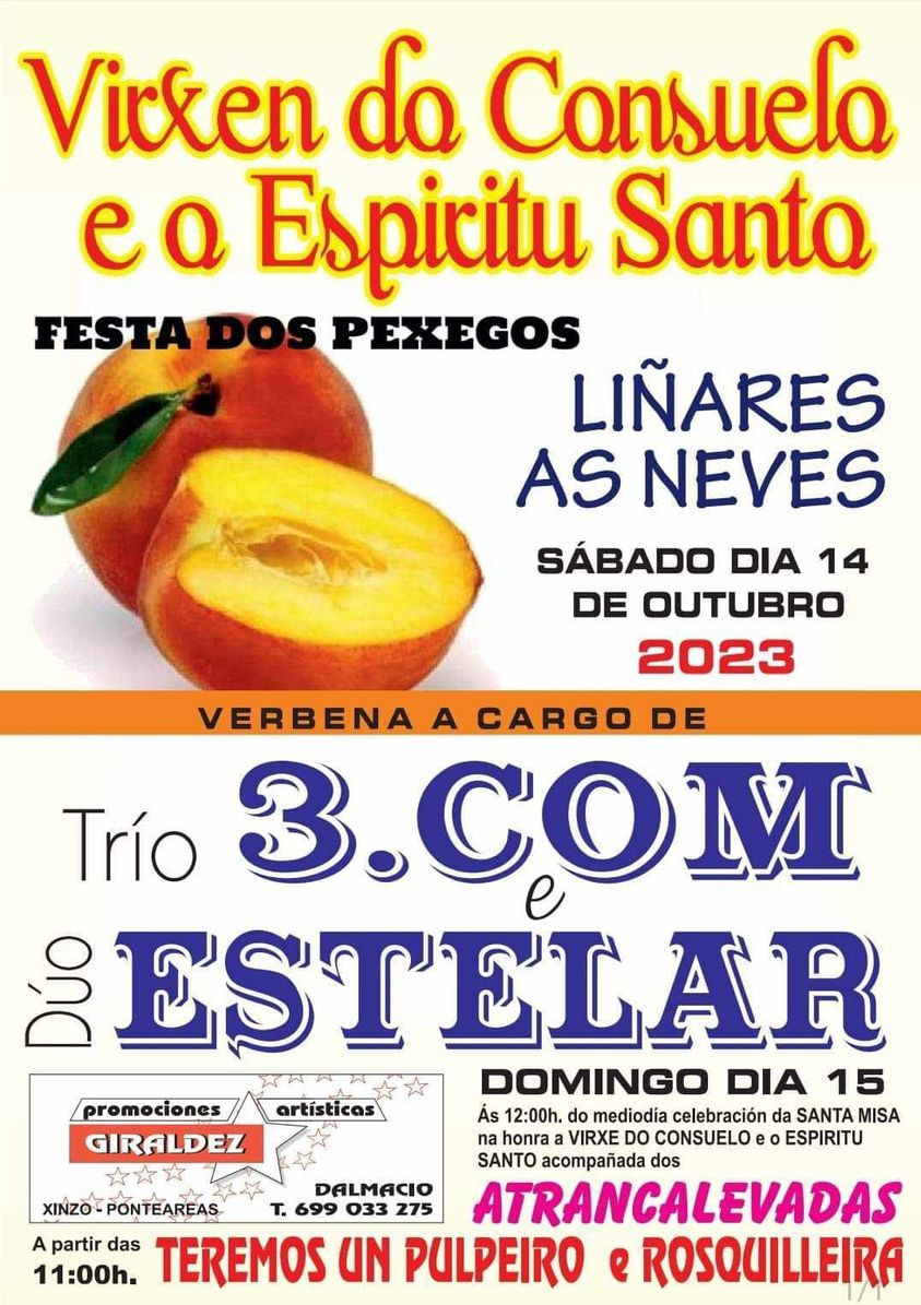 Cartel de la fiesta.